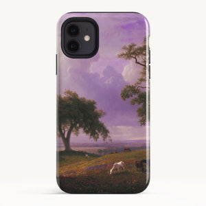 iPhone 11 / Tough Case