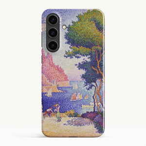 Galaxy S24 Plus / Slim Case