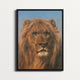 Portrait of a Lion